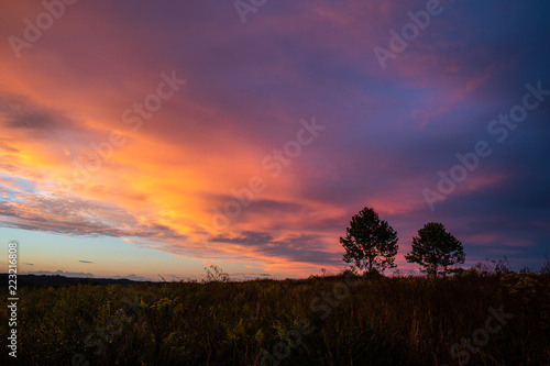 Sunset and Trees