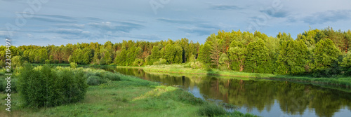 summer landscape. beautiful view of the river with green coasts, coastal forest, lawn and bushes