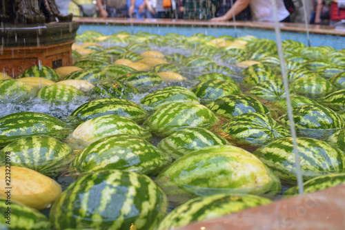 watermelons and melons lie in the water fountain