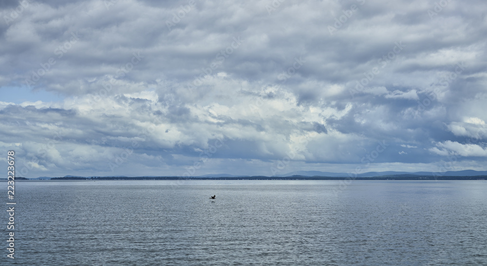 Cloud formation and bird flying over lake 453 Cloud formation and bird flying over lake 453