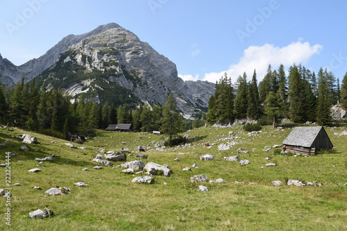Meadow and wooden huts in front of Steinkar, Gesause National Park, Austria