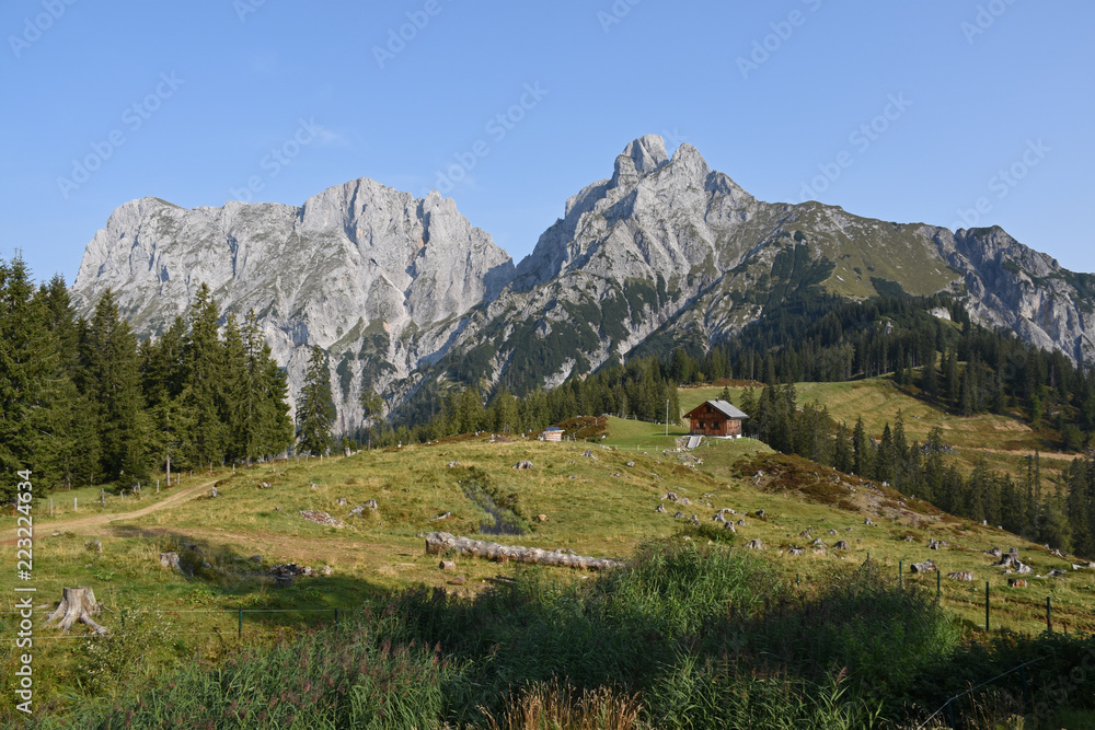 Meadow and hut in front of Admonter Reichenstein, Gesause National Park, Austria