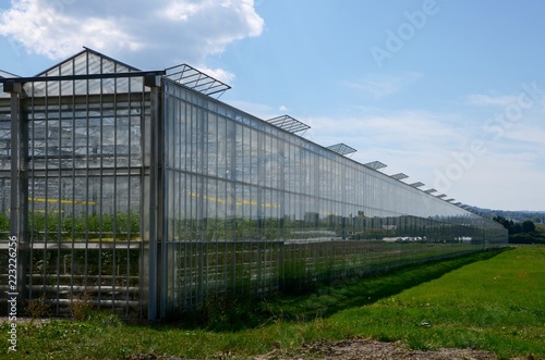 The greenhouses of the vegetable garden in the canton of Geneva in Switzerland.