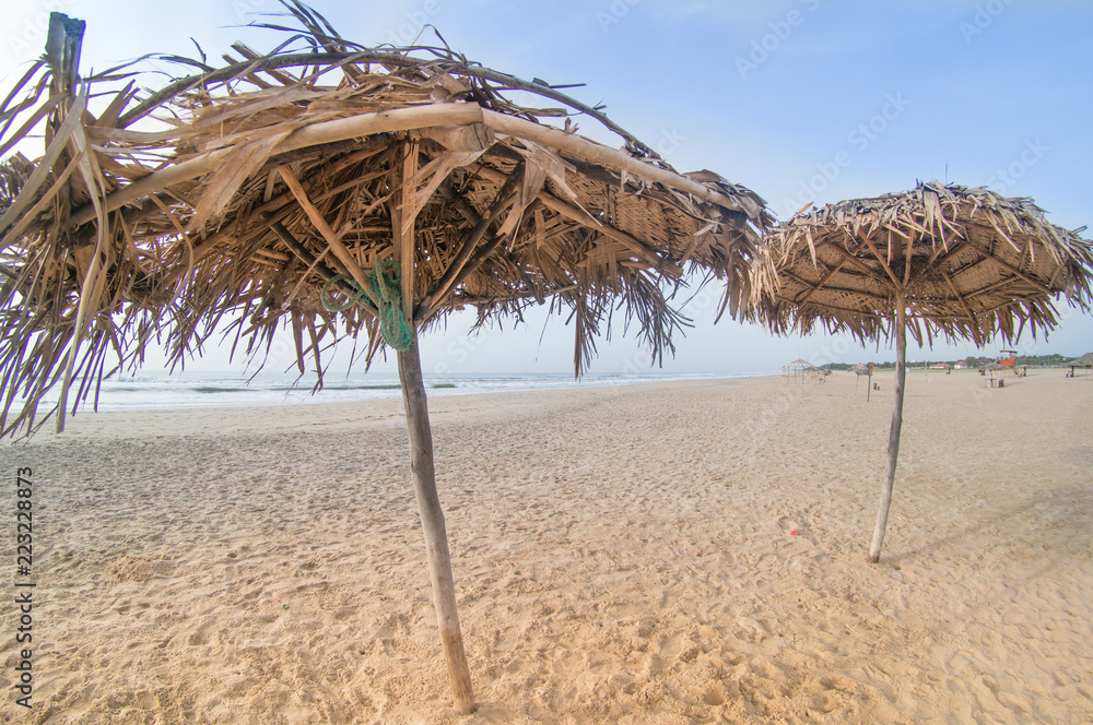 Thatch umbrellas of straw for shade on paradise beach in pondicherry chennai with brown sand, blue skies and the orange from sunrise making this the perfect vacation shot