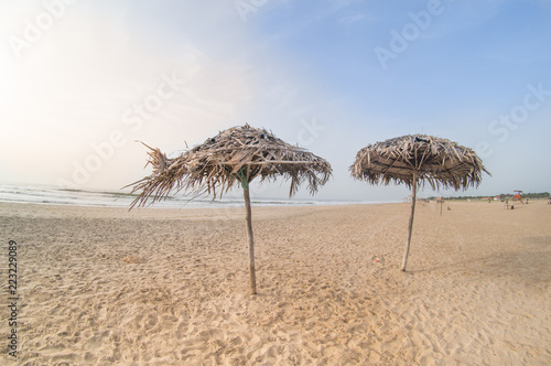 Thatch umbrellas of straw for shade on paradise beach in pondicherry chennai with brown sand, blue skies and the orange from sunrise making this the perfect vacation shot