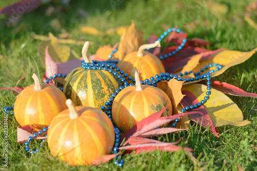 Tableau sur toile blue beads on pumpkins