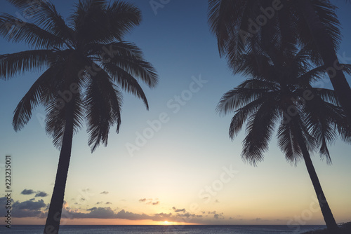 Palm trees at sunset © Overburn