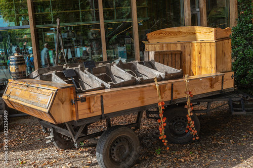 Groentekar in het Nederlands openluchtmuseum, Arnhem photo