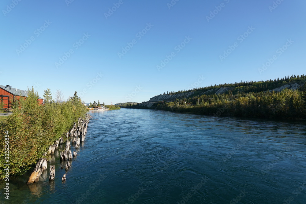 Fototapeta premium Whitehorse,Canada-September 10, 2018: Yukon River flowing in Whitehorse, Canada in September