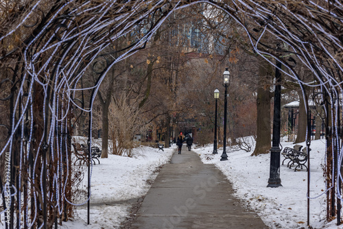 View of a park in Toronto downtown