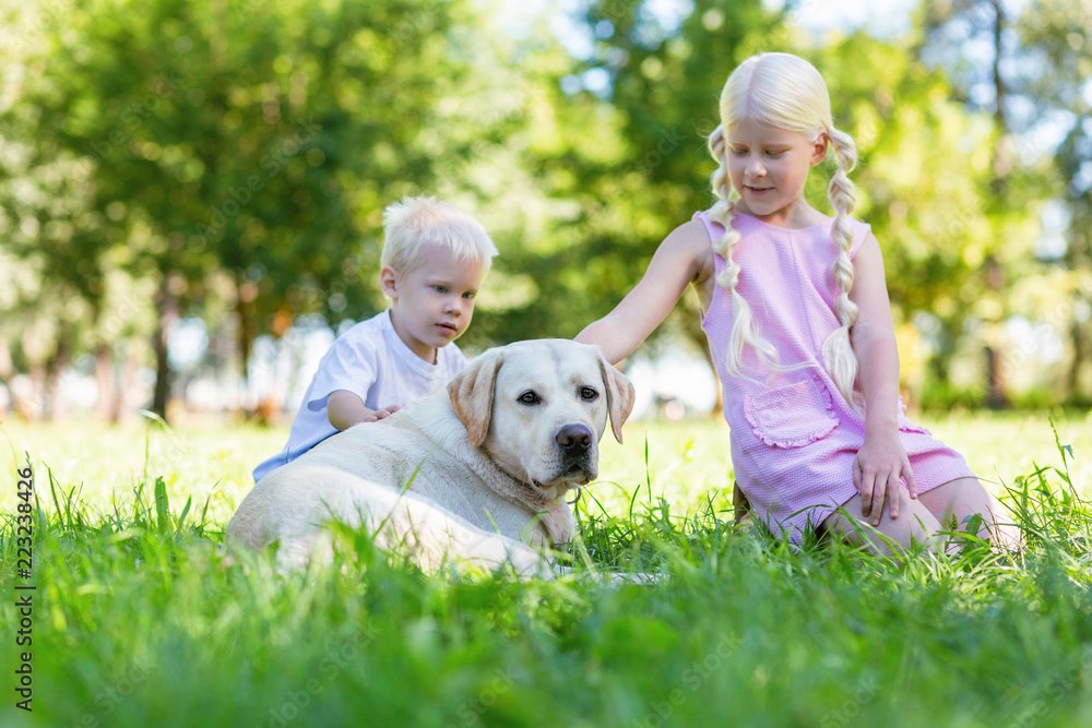 Pet. Pleasant cute brother and sister having fun while spending a day with a dog Pet. Pleasant cute brother and sister having fun while spending a day with a dog