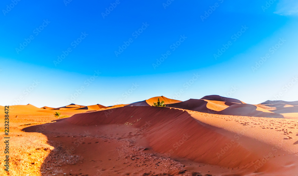 View on desert landscape of the Sahara next to Mhamid in Morocco