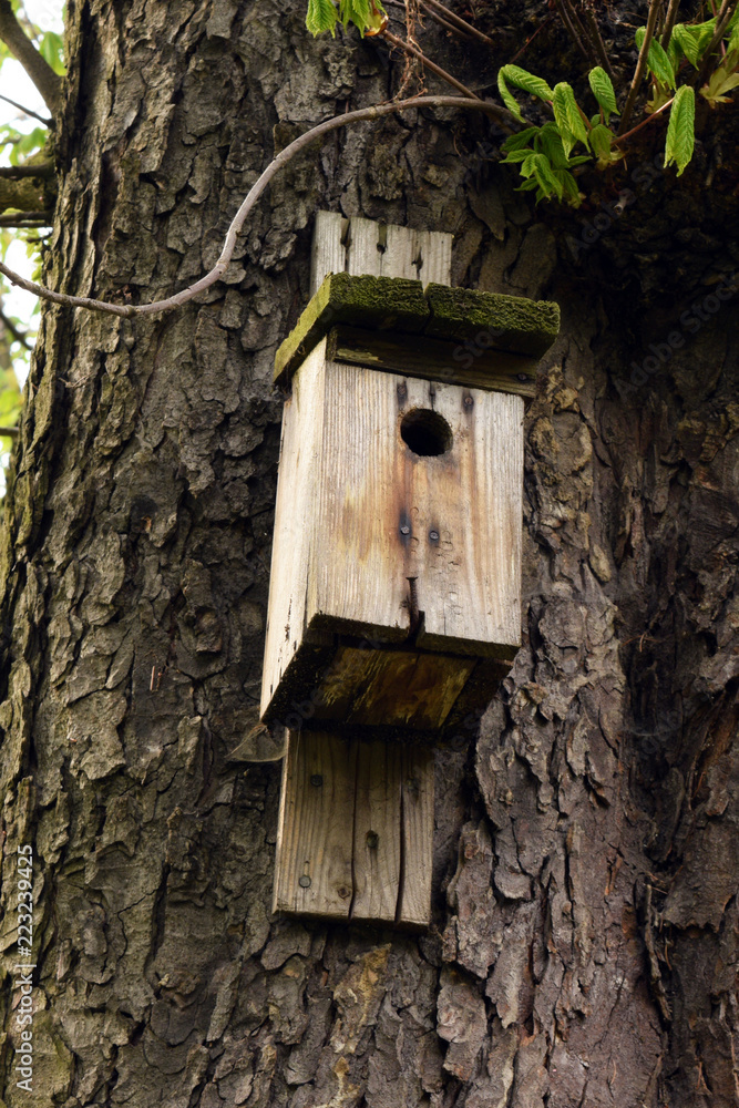 Drewniany domek dla ptaków