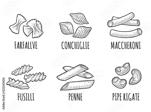 Set pasta. Farfalle, conchiglie, maccheroni, fusilli, penne, pipe rigate. Engraving