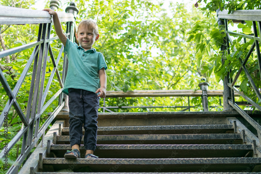A little boy goes down the stairs in the forest.