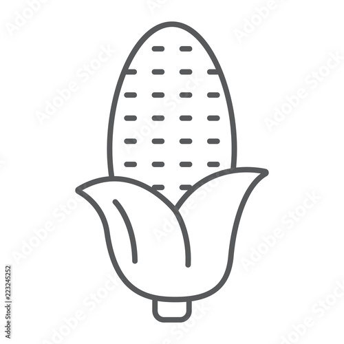 Corn thin line icon, corncob and vegetable, plant sign, vector graphics, a linear pattern on a white background.