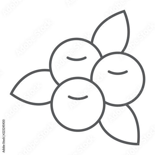 Cranberry thin line icon, food and berry, vitamin sign, vector graphics, a linear pattern on a white background.