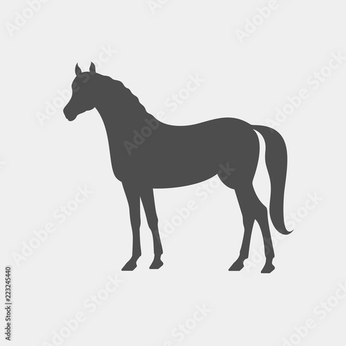 Horse vector silhouette. Farm animal silhouette
