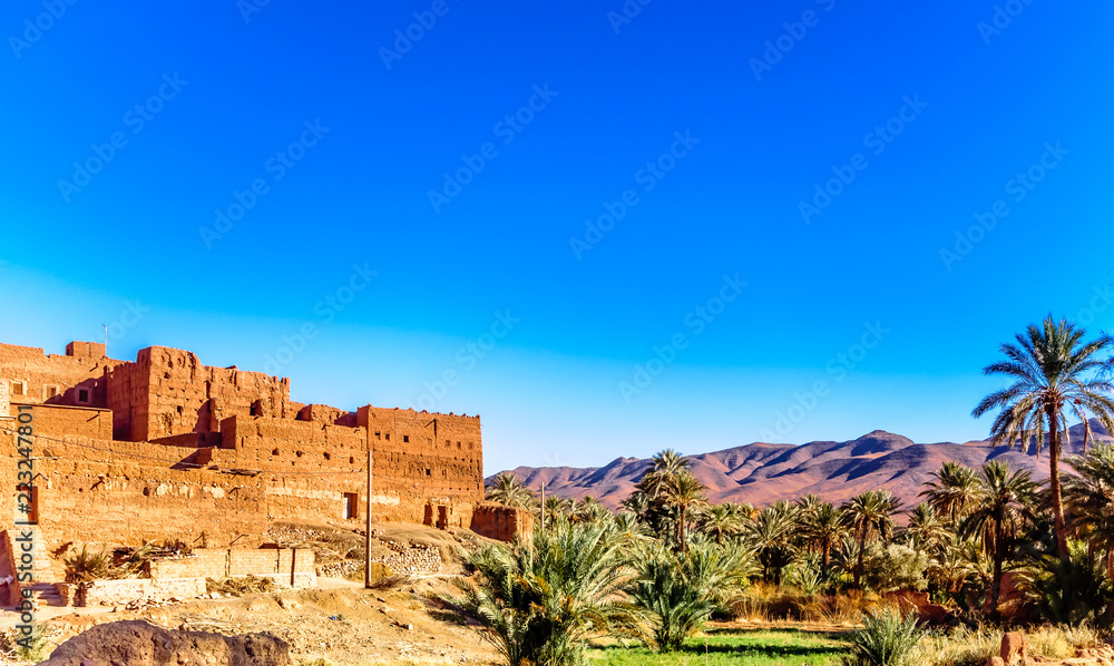Kasbah Caids and palm agrden next to Tamnougalt in Draa valley - Morocco