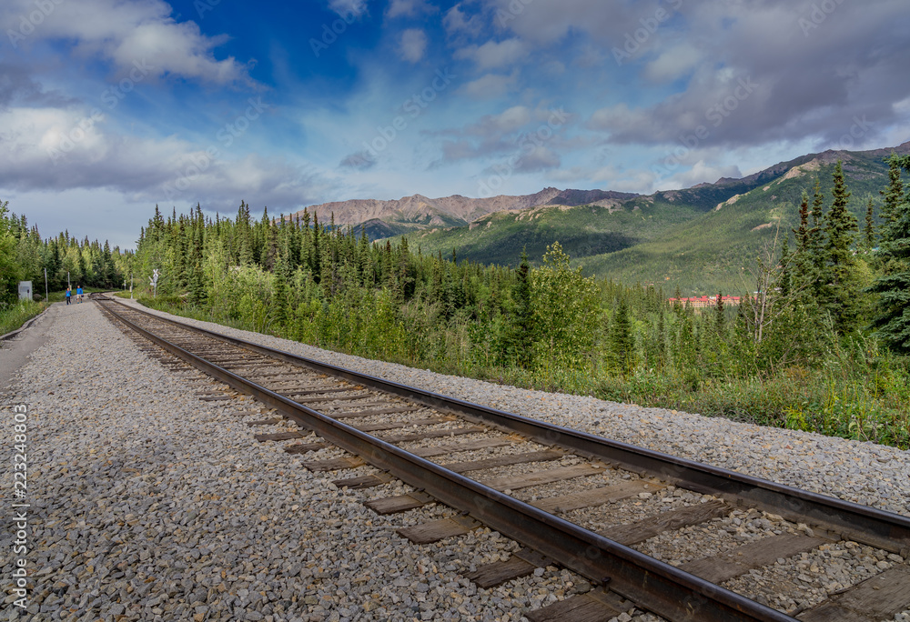 Obraz premium Alaska Railways track