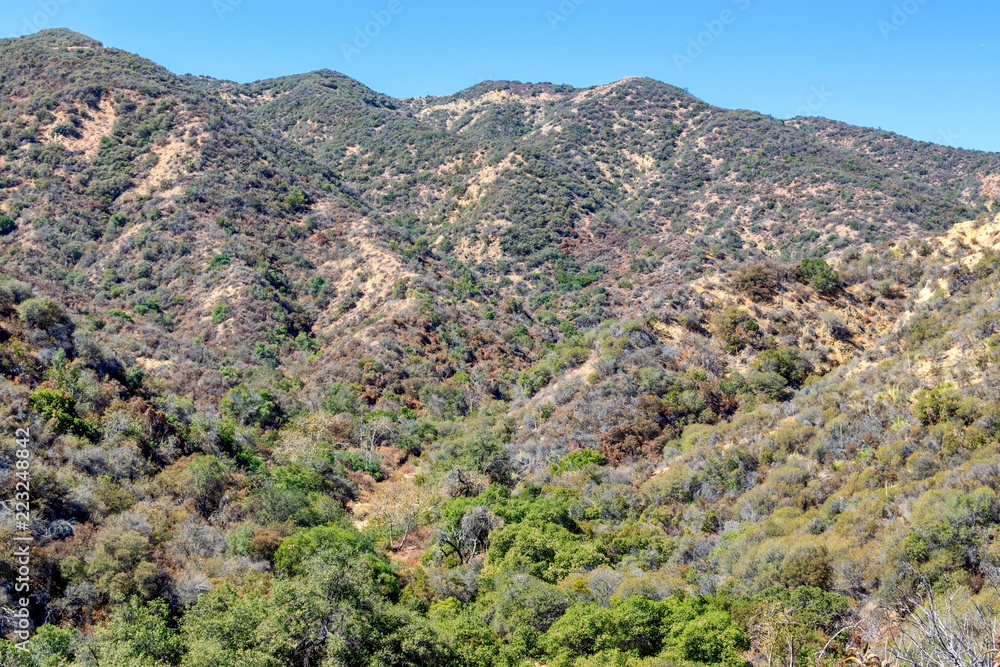 Majestic mountains in summer sun with dry brush and trees on hillsides