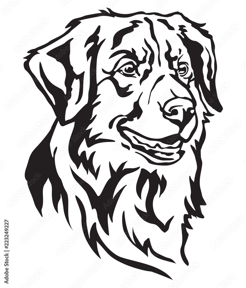 Fototapeta premium Decorative portrait of Dog Toller vector illustration