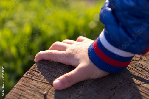 Child's hand on nature holding on a foam tree