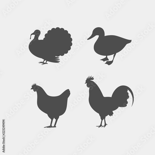 Chicken  rooster  duck  turkey vector silhouettes. Farm animals silhouettes