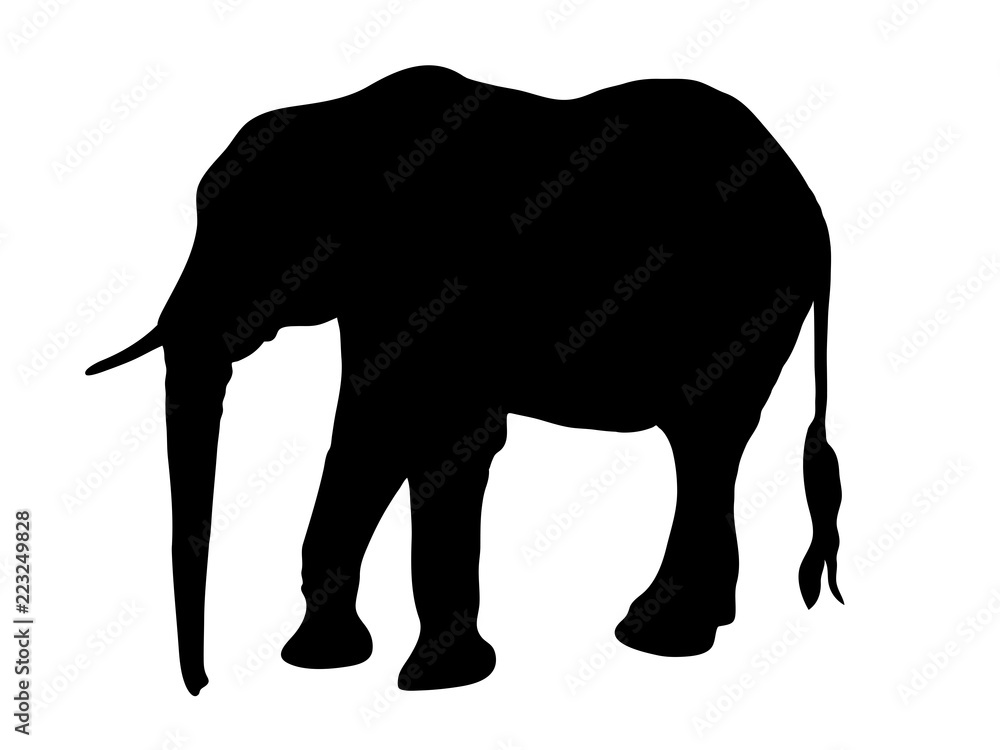 Digitally handdrawn Silhouette of a elephant isolated on white background