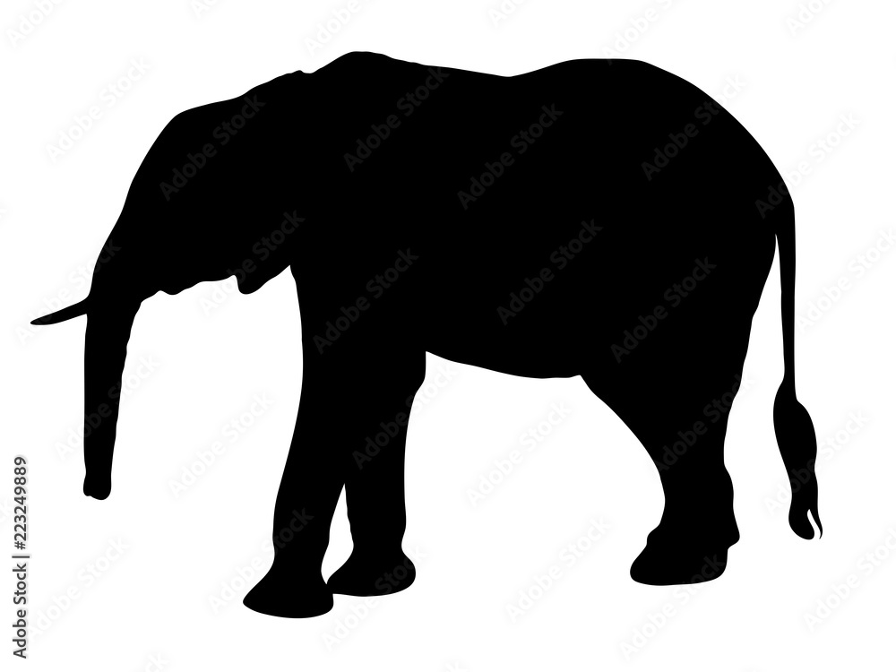 Digitally handdrawn Silhouette of a elephant isolated on white background Digitally handdrawn Silhouette of a elephant isolated on white background