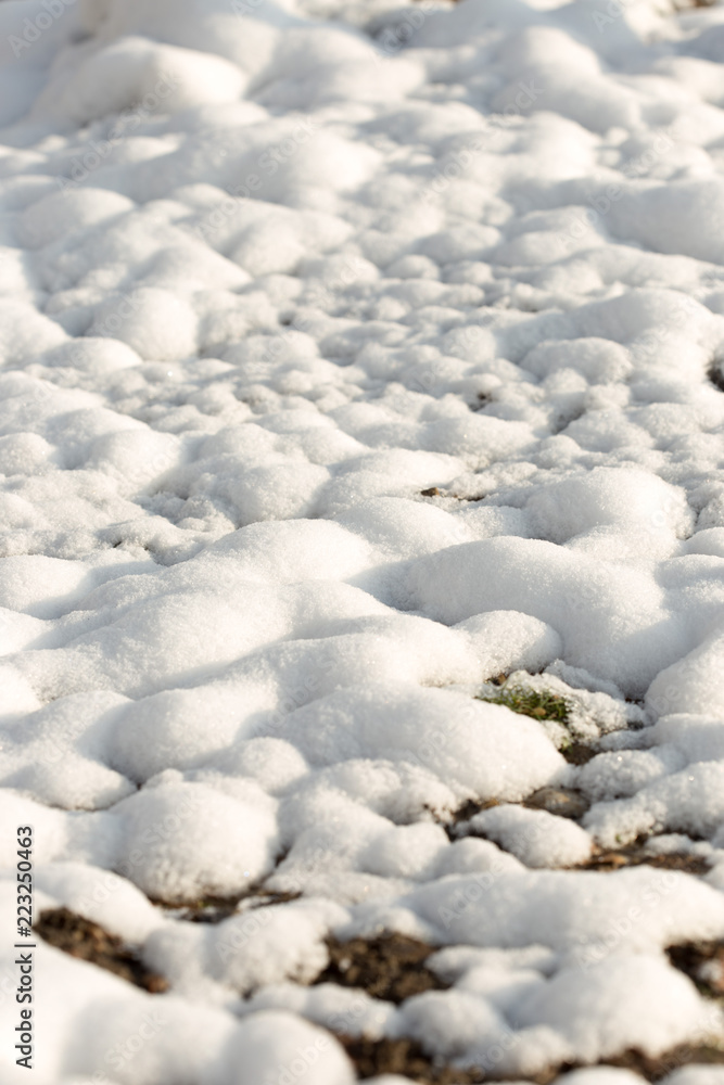 snow on the ground in nature