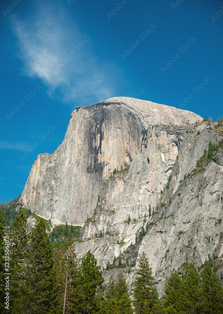 View of Half Dome from the valley below with trees in the foreground.  California, June 2018. Vertical image.