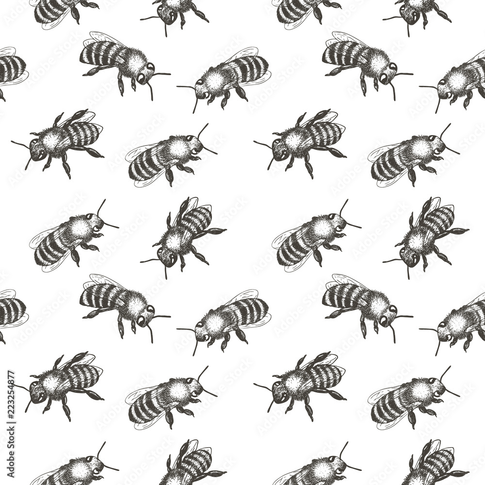 Seamless pattern with bees. Hand drawn vector illustration.