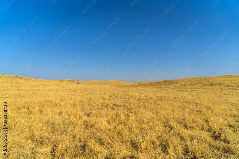 Beautiful Countryside Yellow Field