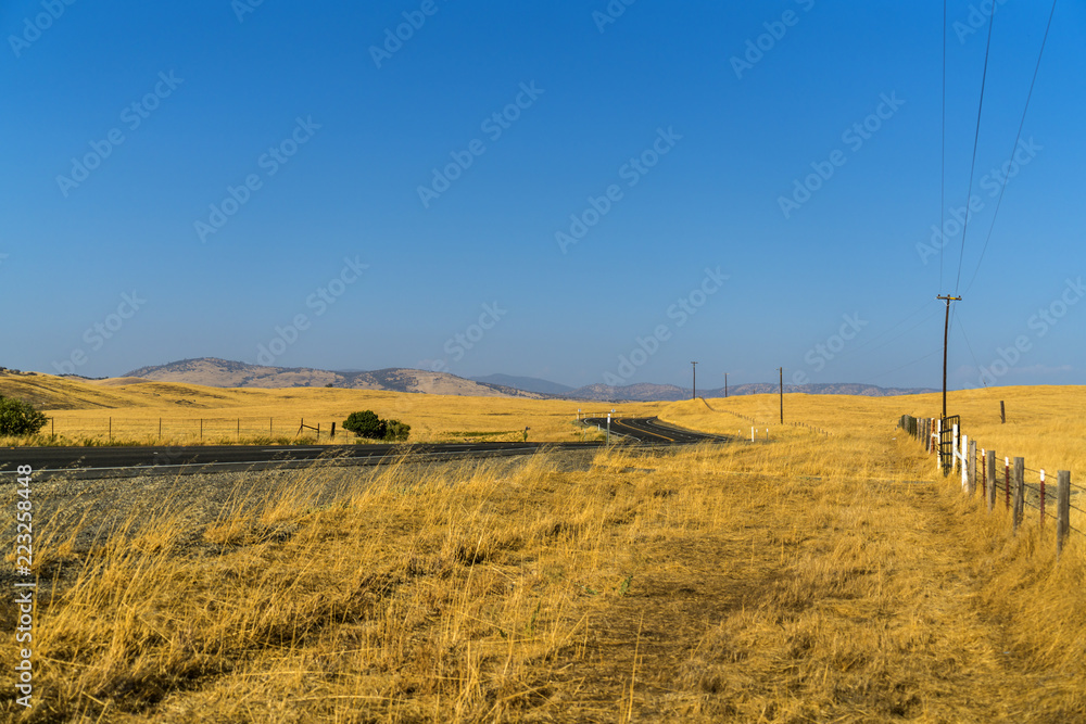 Beautiful Countryside Yellow Field