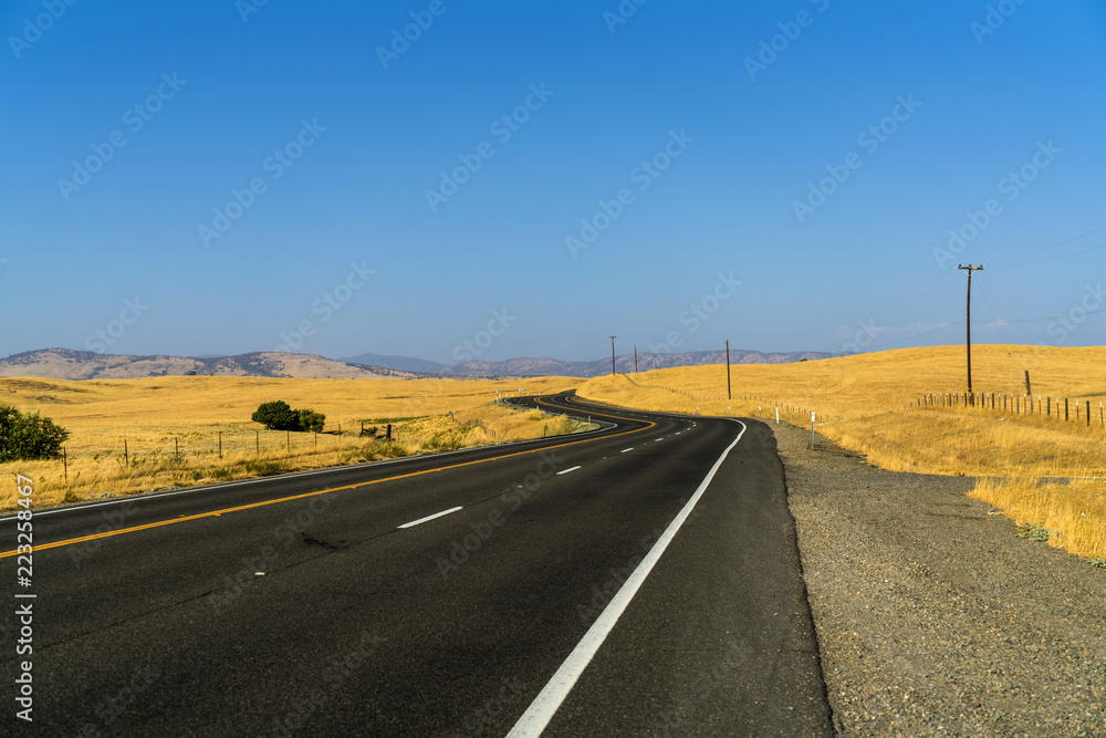 Beautiful Road Crossing yellow fields
