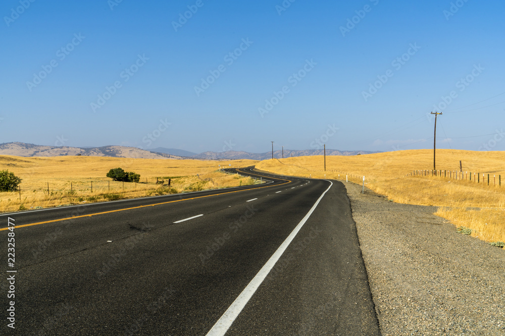 Beautiful Road Crossing yellow fields