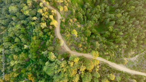 vista Aérea cenital de Bosque en Cataluña  photo