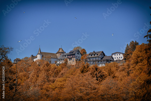 Wildenburg landscape