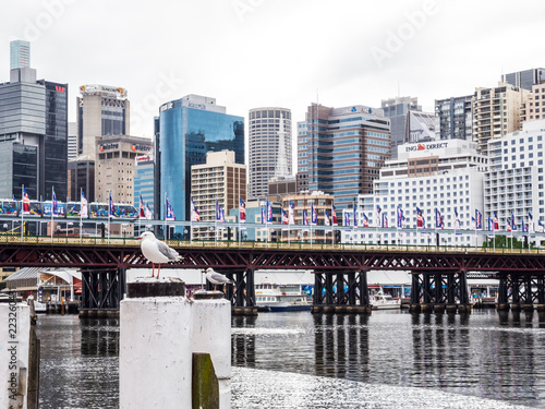 In the port of Sydney, Australia, in front of the skyscrapers of the financial district. 4 February 2013