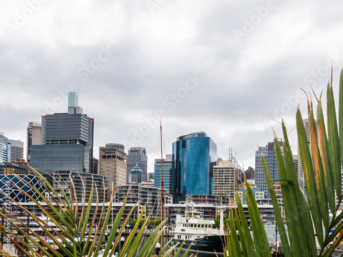 In the port of Sydney, Australia, in front of the skyscrapers of the financial district. 4 February 2013