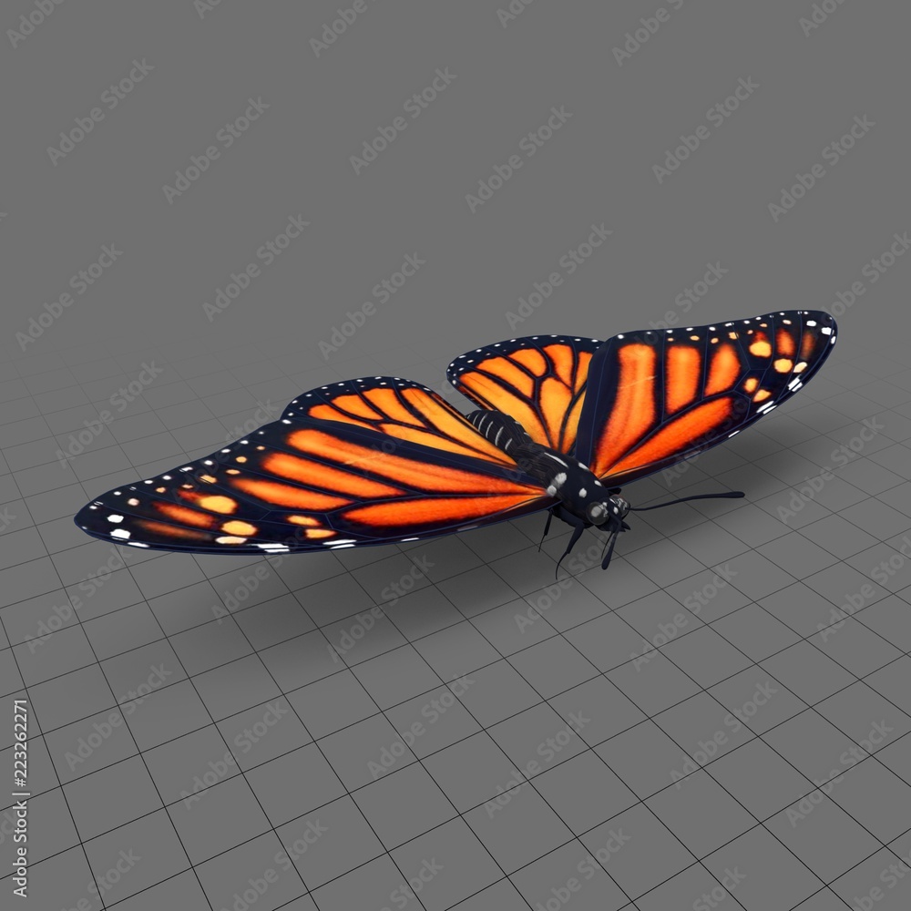 Monarch butterfly Stock 3D asset | Adobe Stock
