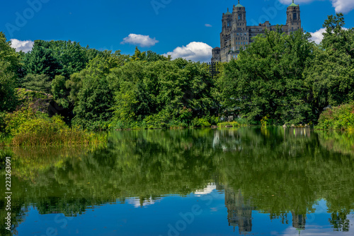 Pond Landscape with Green Leaves, Trees, and Blue Sky Reflecting in the Water