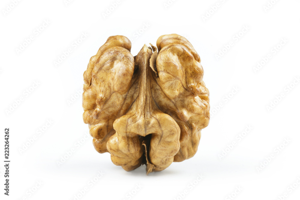 close up whole walnut kernel without shell on white background. healthy food for brain close up whole walnut kernel without shell on white background. healthy food for brain