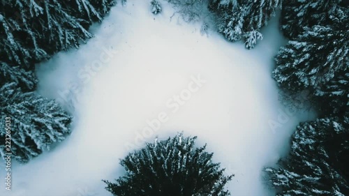 Flying over forest in the winter photo