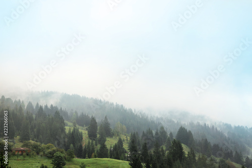 Picturesque landscape with mountain forest covered in mist