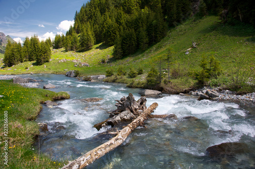 River in an alpine valley, Urnerboden, Switzerland photo