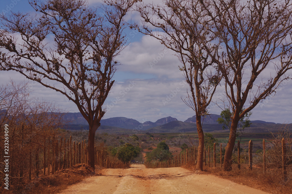 Unpaved road with trees on both sides. Blue sky and montains on the backgroud. Unpaved road with trees on both sides. Blue sky and montains on the backgroud.