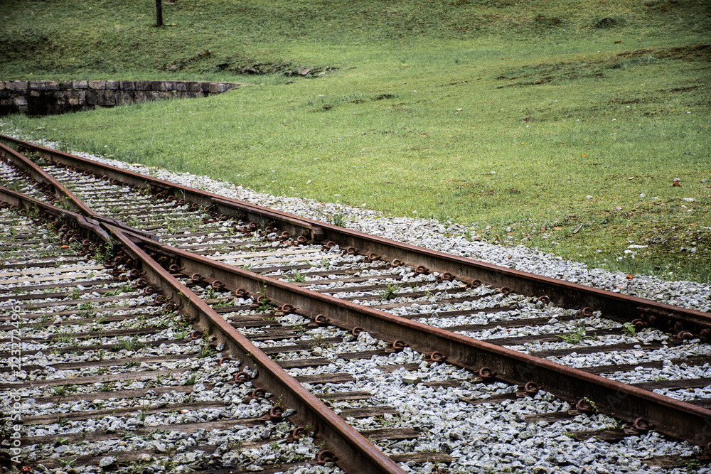 Obraz premium train track