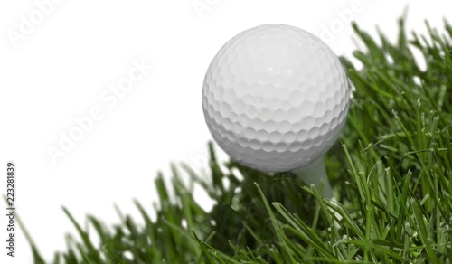 golf ball on a grass